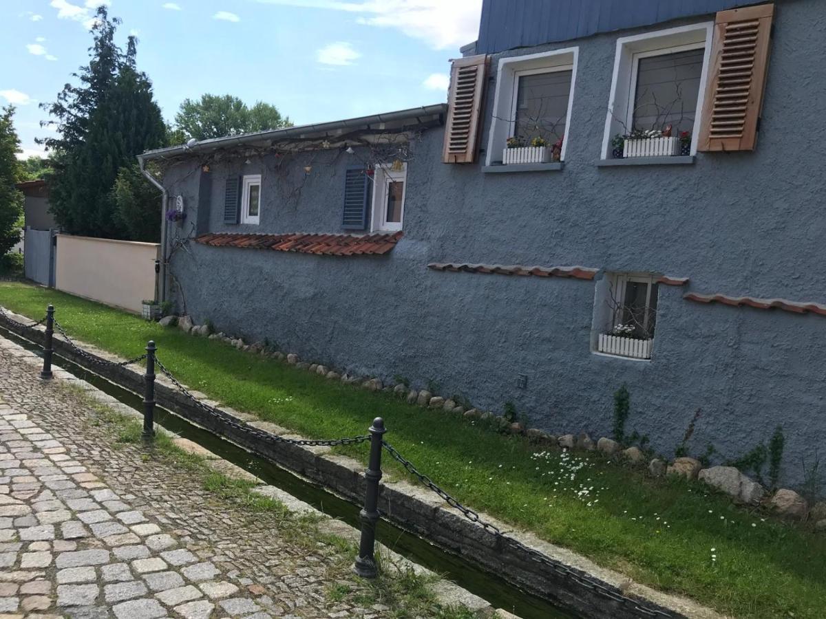 Villa Windschief Тале Екстериор снимка